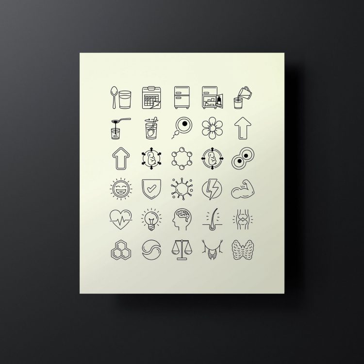 LaVita – Icons / Symbolsprache